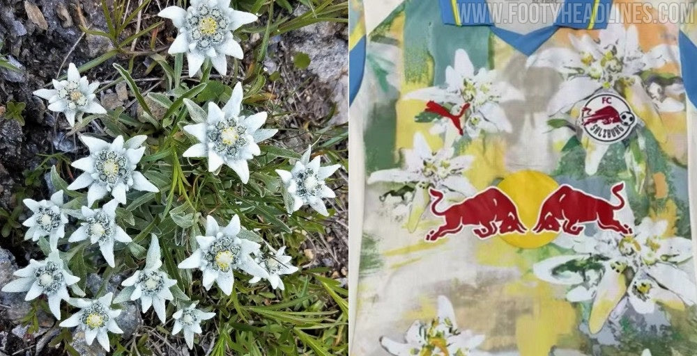 Red Bull Salzburg’un 2025 Dünya Kupası Forma