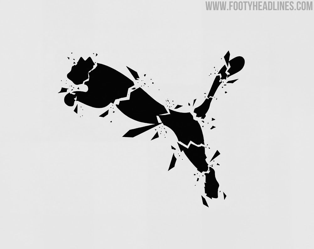 Puma Finansal Kayıp